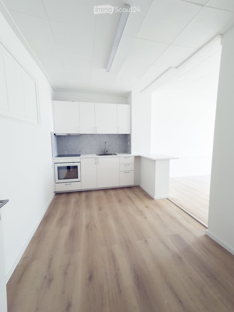 Appartements libre de suite // Wohnungen ab sofort verfügbar (3)