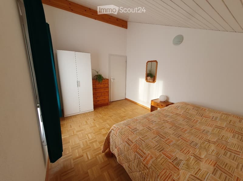 Charmante maison dans un écrin de verdure à louer à Lancy (4)
