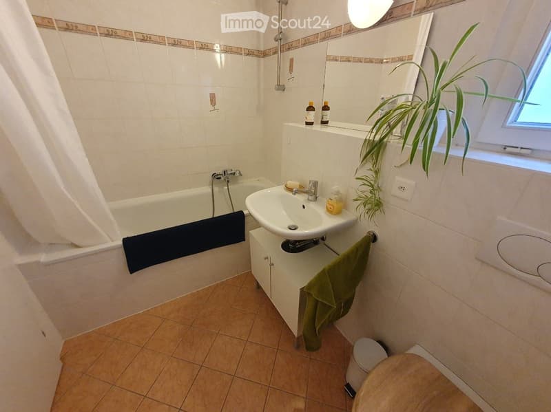 Charmante maison dans un écrin de verdure à louer à Lancy (3)