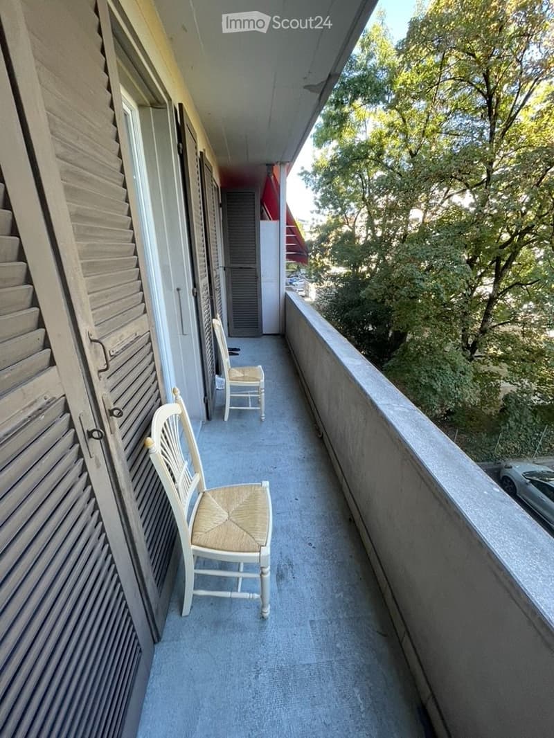 Joli 2,5 pièces à Servette  balcon vue parc, au calme (5)