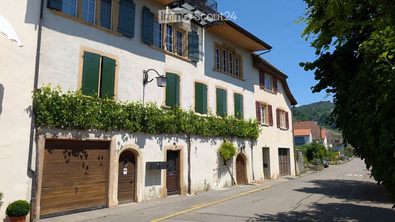 4 Zimmer, 100m2, 1. Etage im ehemaligen Winzerhaus (4)