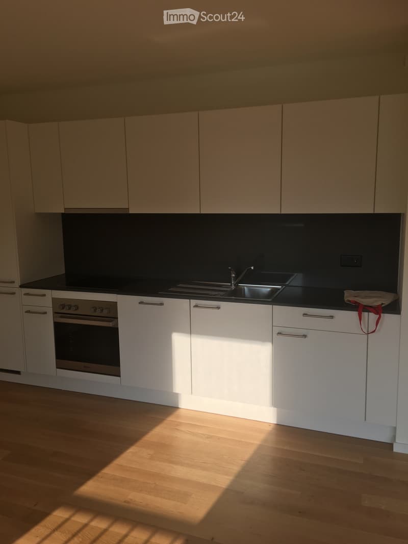 A louer très joli appartement à Crissier (1)