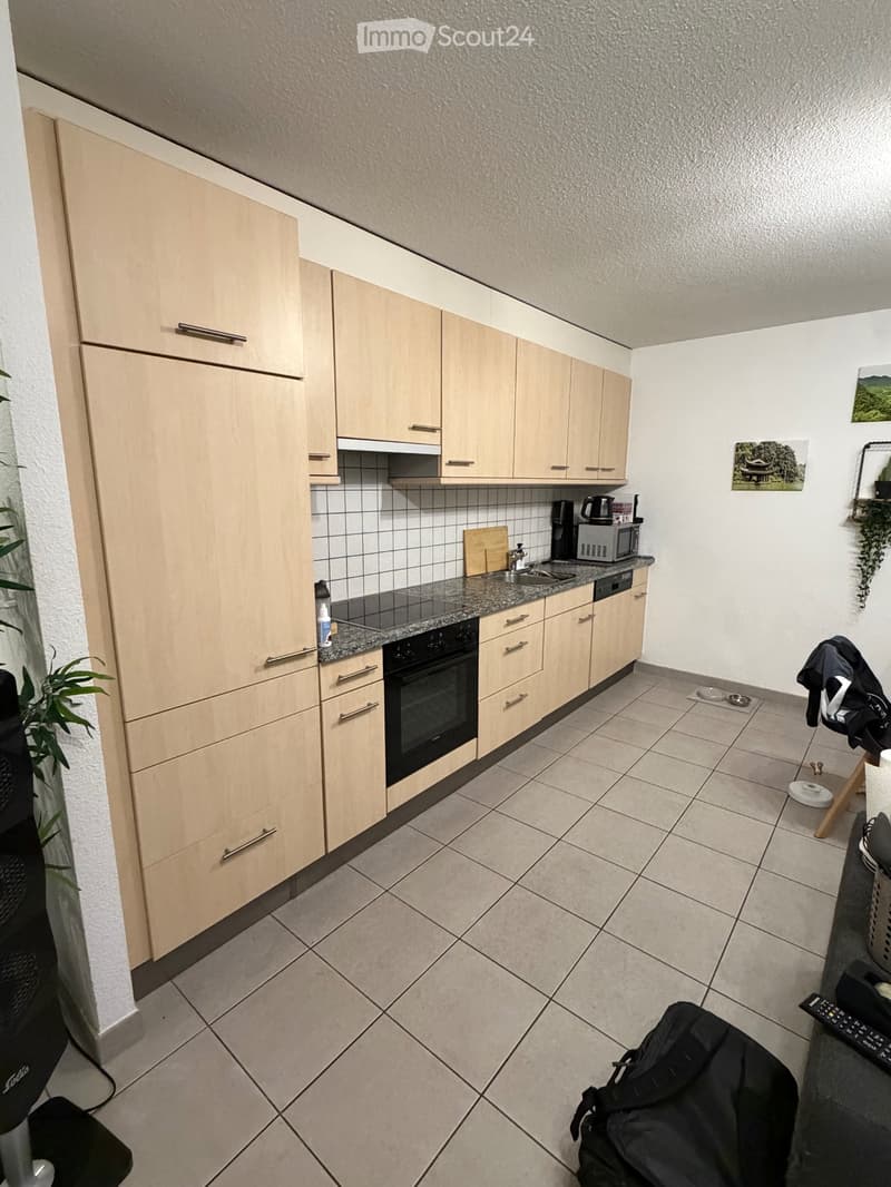 Appartement mansardé de 3,5 pièces - Yverdon-les-Bains (2)