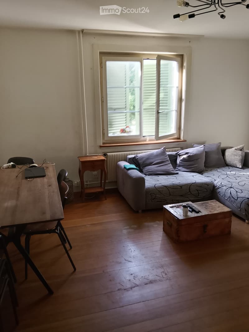 3 Zimmer Wohnung inkl. Mansarde Zimmer (1)