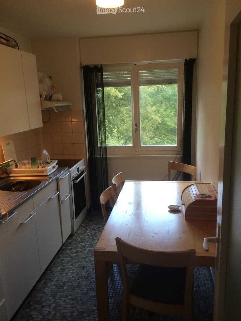 Collocation à Morges (2)