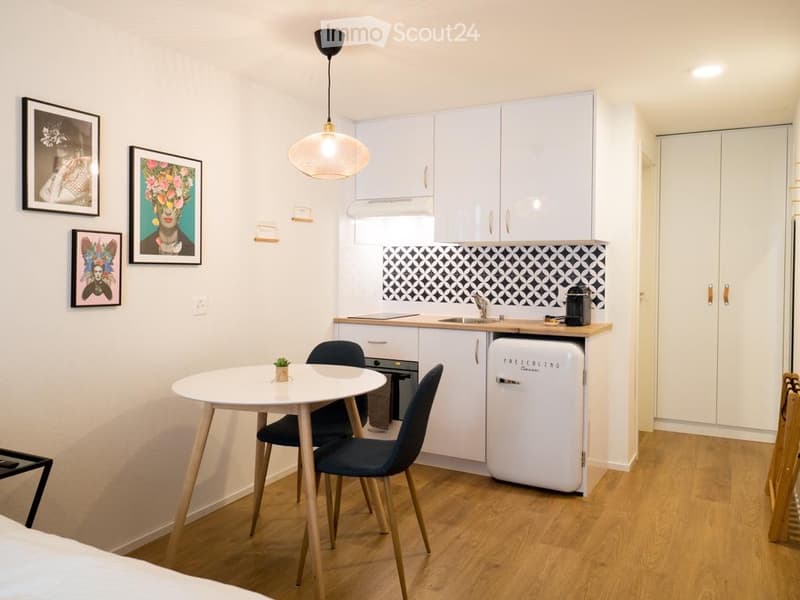 Petit studio meublé à louer au mois (3)