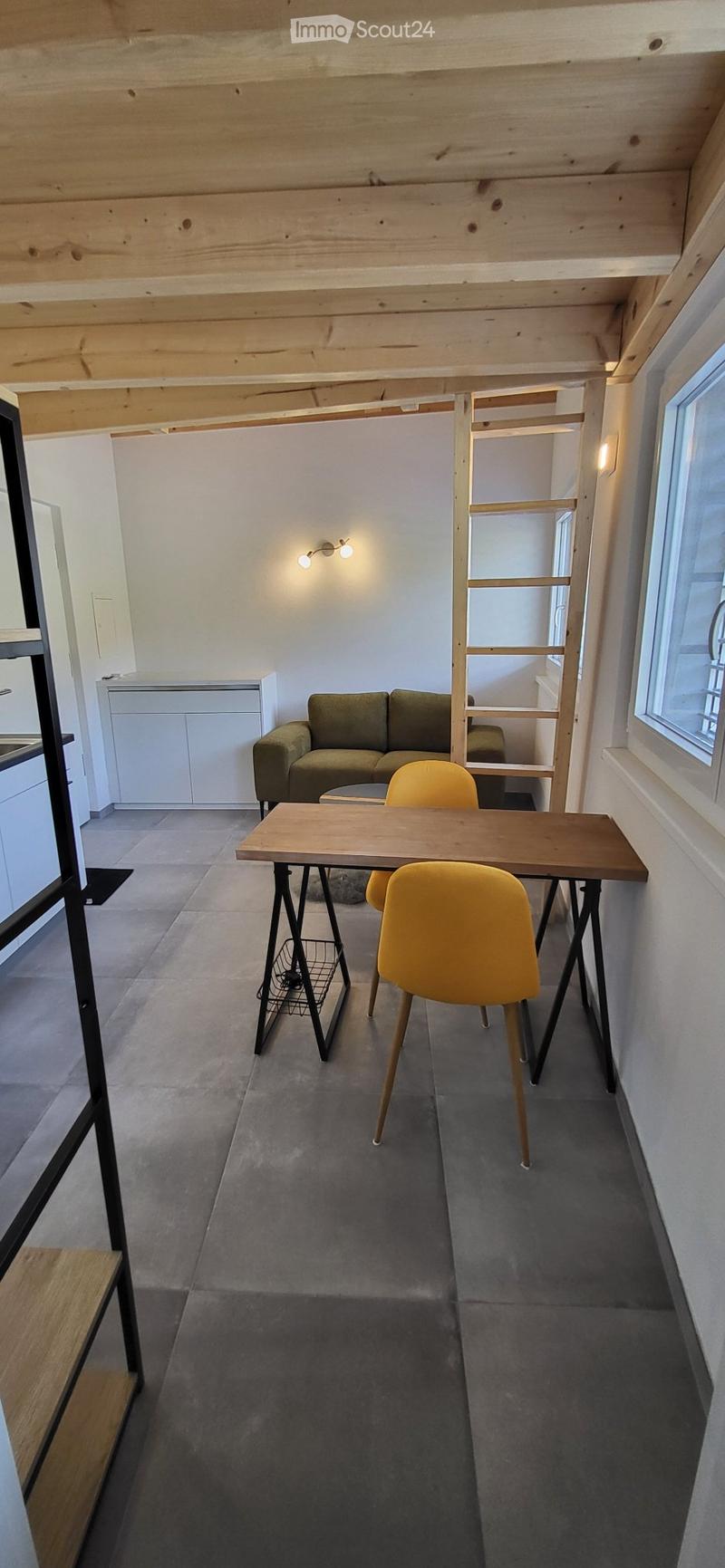 Studio totalement meublé avec mezzanine - construction 2024 (5)