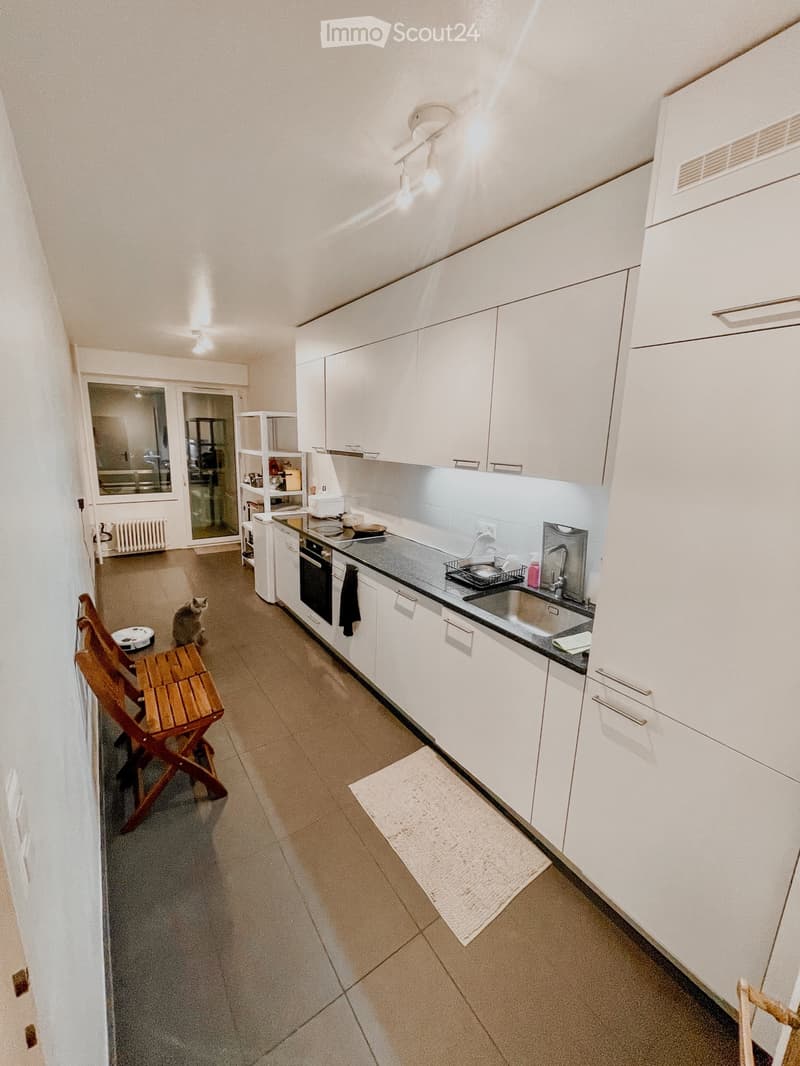 Appartement A Chenes-Bougeries (2)