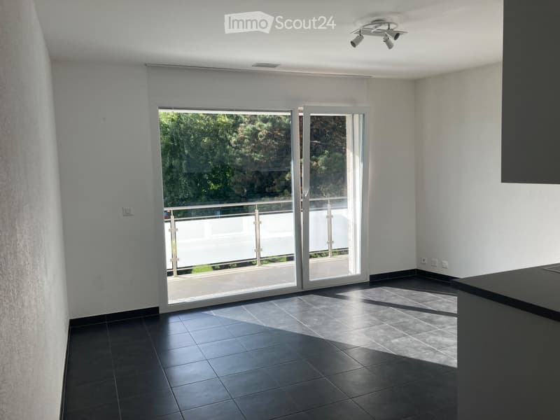 Magnifique studio avec terrasse à Sion (2)
