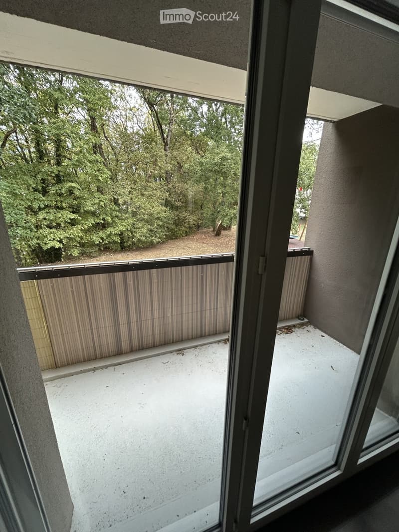L'appartement : disponible 16.11.2026 (3)