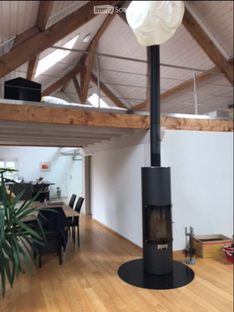 A louer Loft à Yvonand avec terrasse et jardin (2)