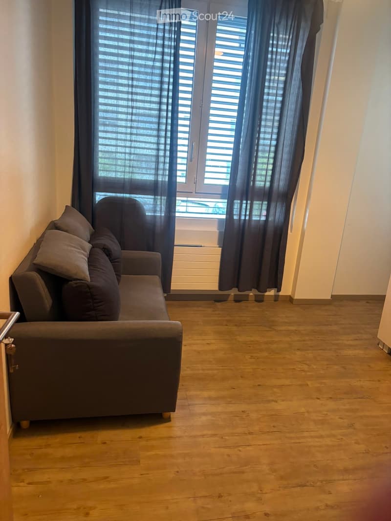 Location appartement Crissier (1)