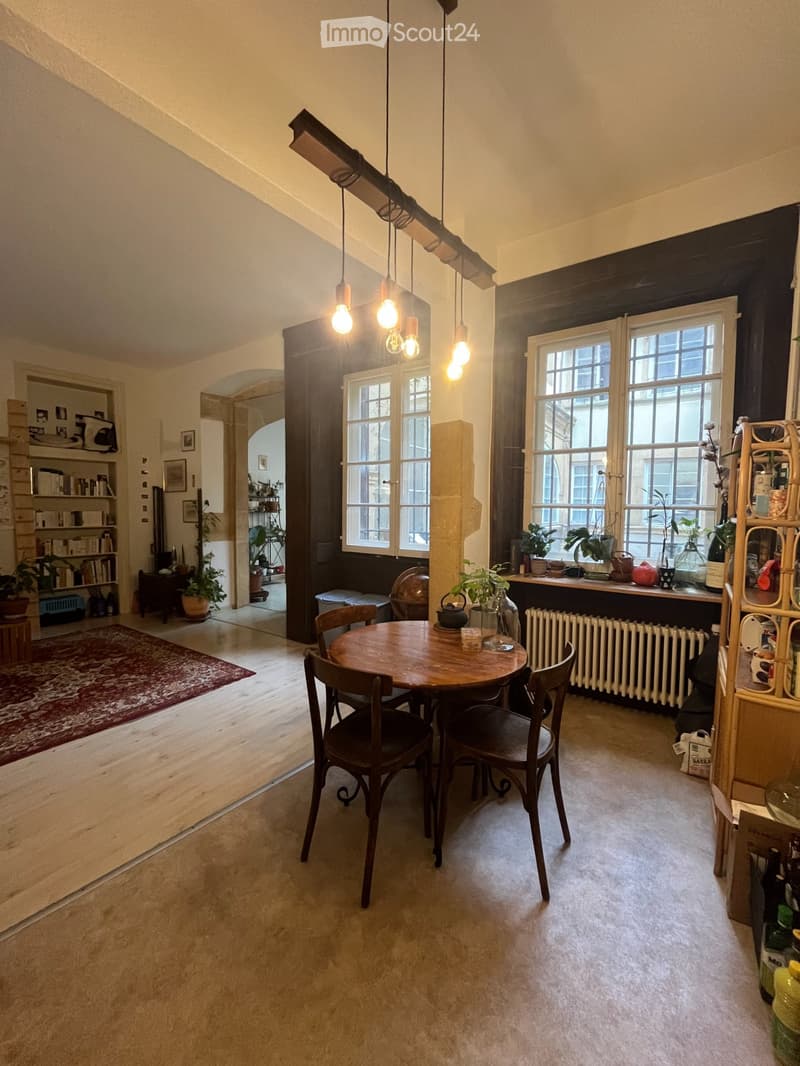 Magnifique appartement au centre-ville de Neuchâtel (4)