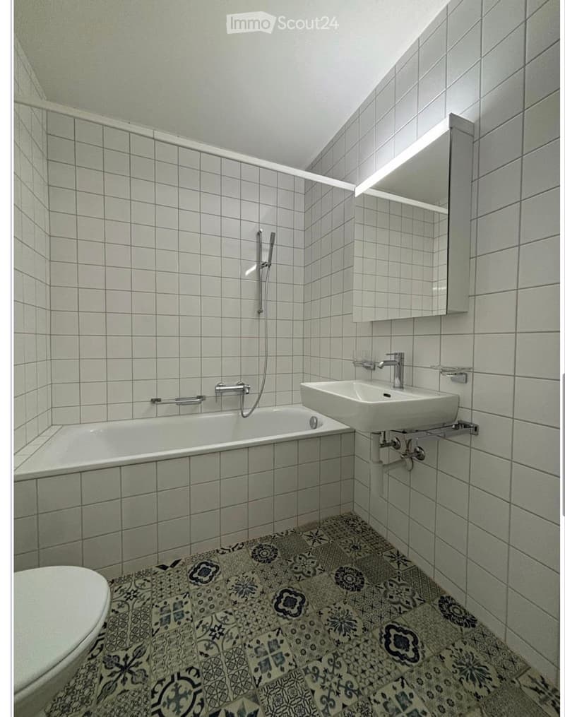 Magnifique appartement lumineux en plein centre-ville (4)