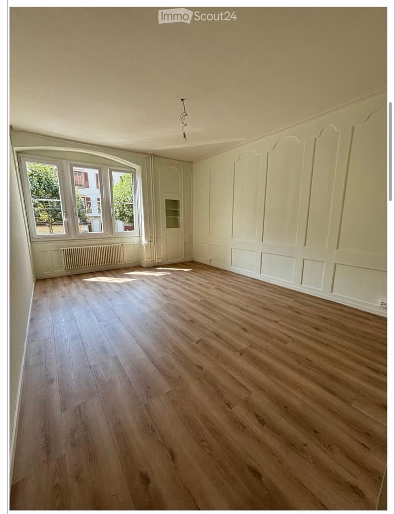 Magnifique appartement lumineux en plein centre-ville (1)