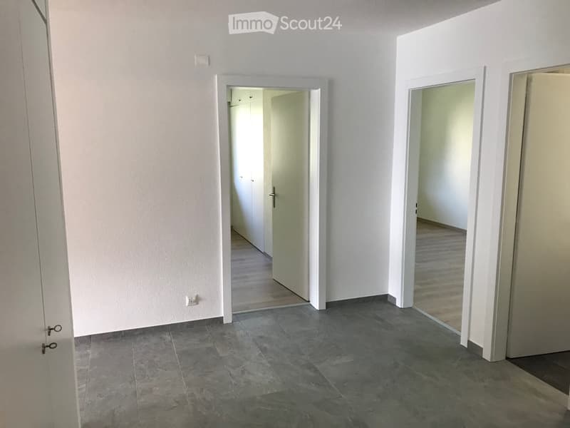 À remettre, appartement 4.5 pièces à Gravelone - Mars 2027 (1)