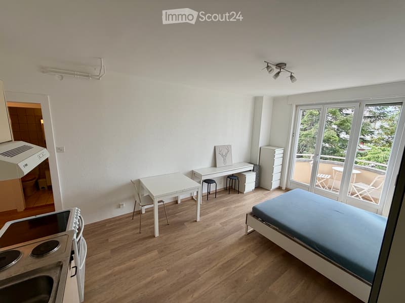 Studio meublé lumineux avec balcon (2)