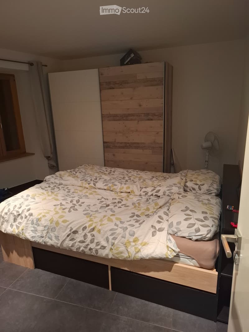 Appartement a louer vionnaz (5)
