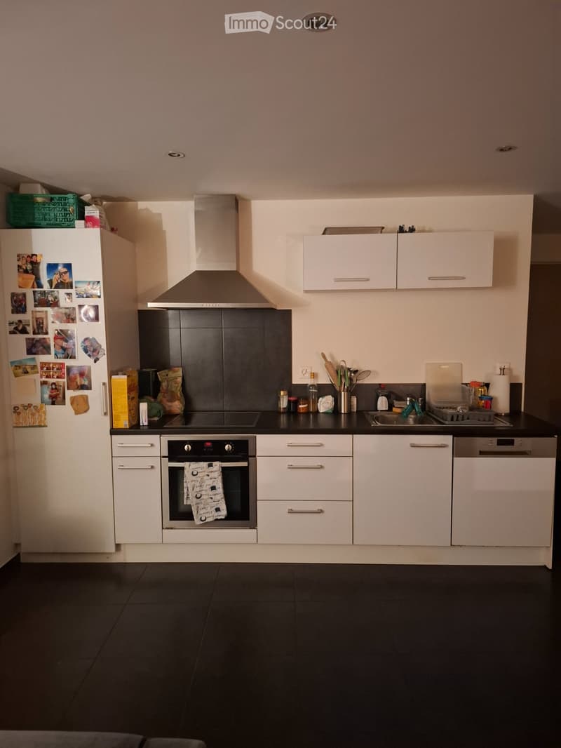 Appartement a louer vionnaz (1)