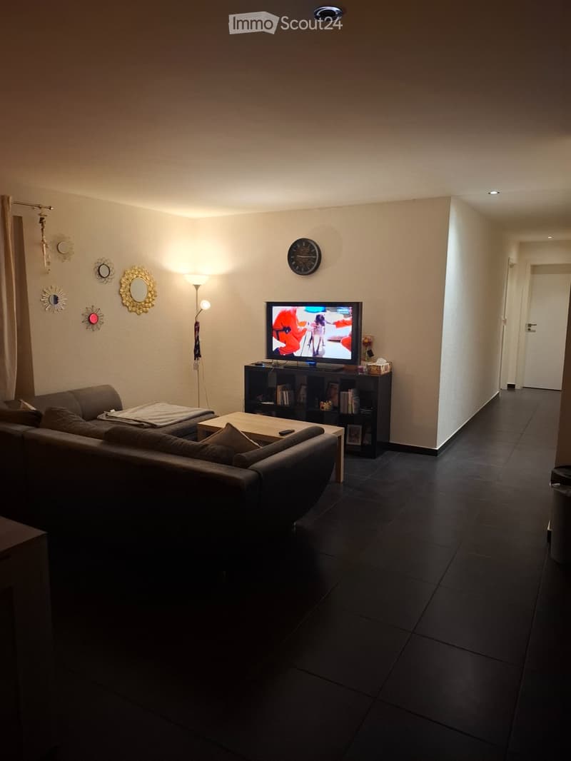 Appartement a louer vionnaz (3)