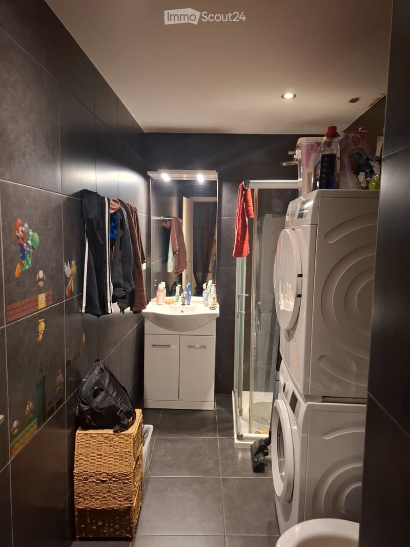 Appartement a louer vionnaz (4)