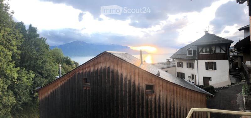 3 pièces Montreux/Pertit balcon, belle vue, quartier calme (2)
