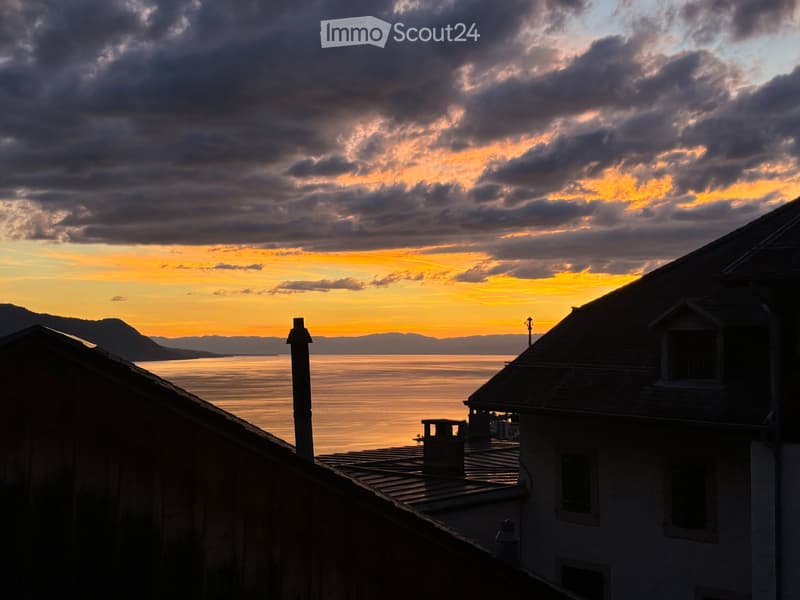 3 pièces Montreux/Pertit balcon, belle vue, quartier calme (1)