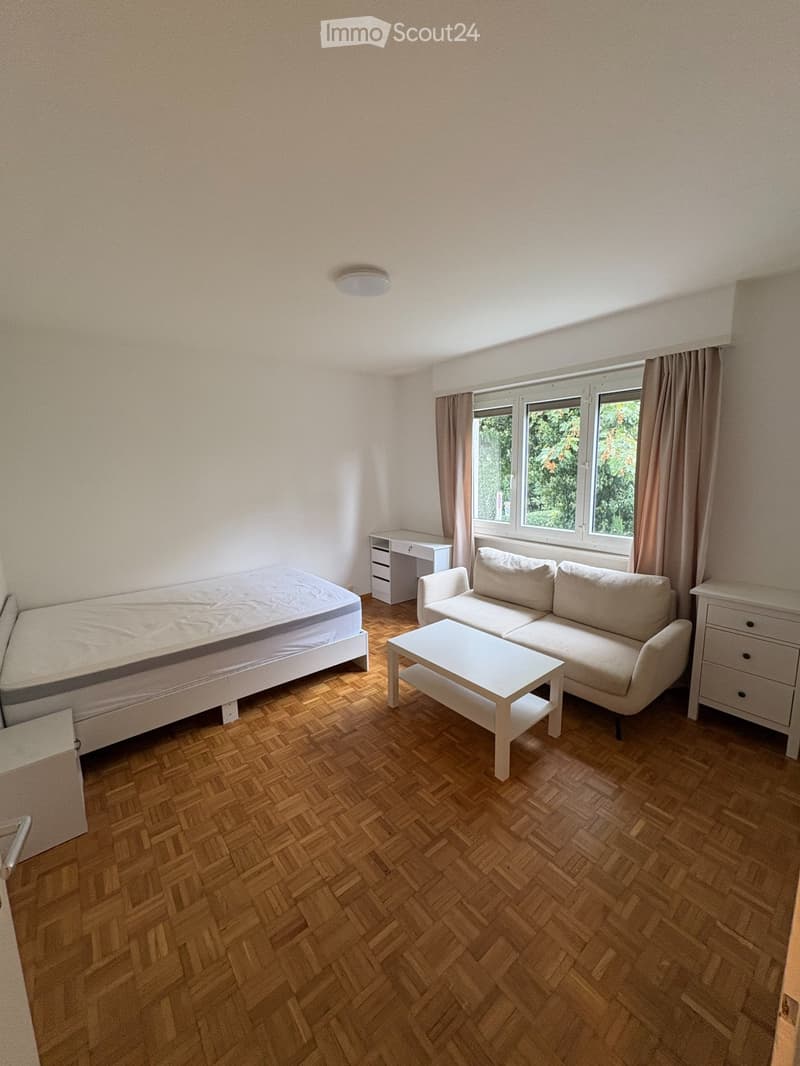 Reprise de bail - appartement 1.5 pièce à Lausanne (3)