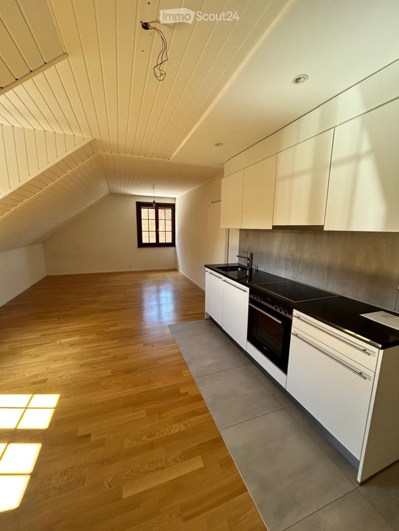 Reprise de bail, Charmant studio de 39 m² dès le 1er déc. (1)