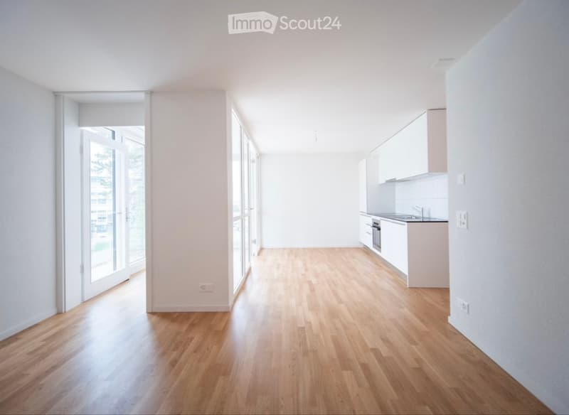 Magnifique appartement au centre de Fribourg (4)
