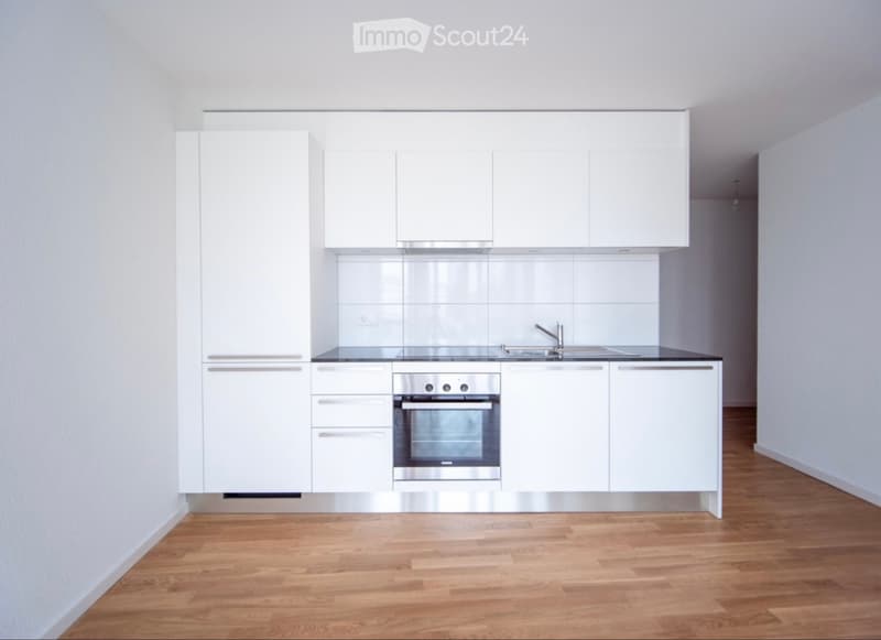 Magnifique appartement au centre de Fribourg (2)