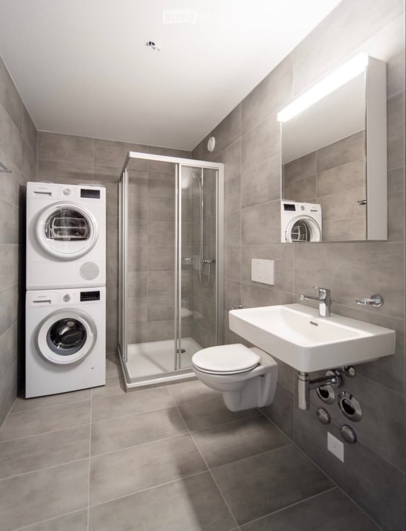 Magnifique appartement au centre de Fribourg (5)