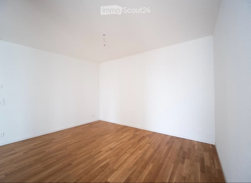 Magnifique appartement au centre de Fribourg (3)