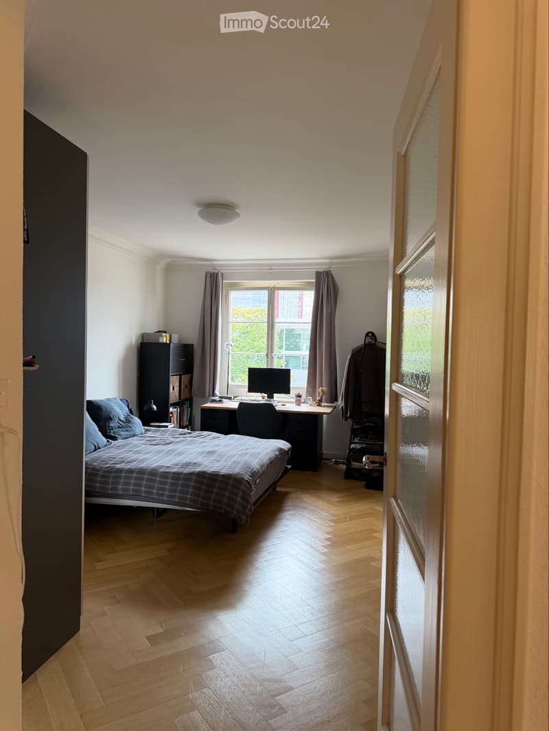 Apartment available for lease takeover in Geneva (4)