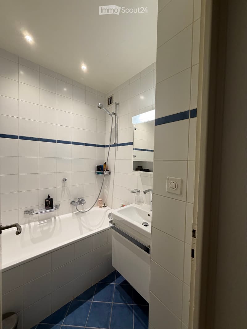 Apartment available for lease takeover in Geneva (3)