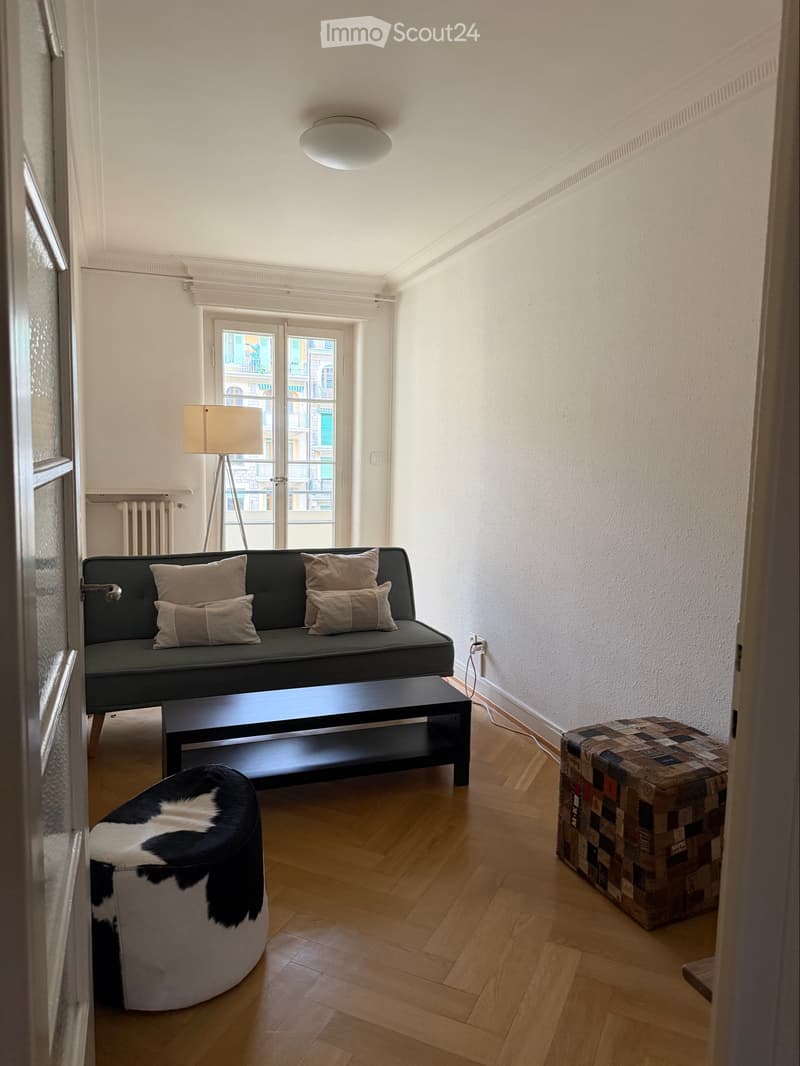 Apartment available for lease takeover in Geneva (2)