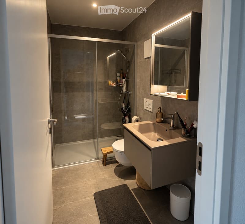 Appartement lumineux et spatieux (2)