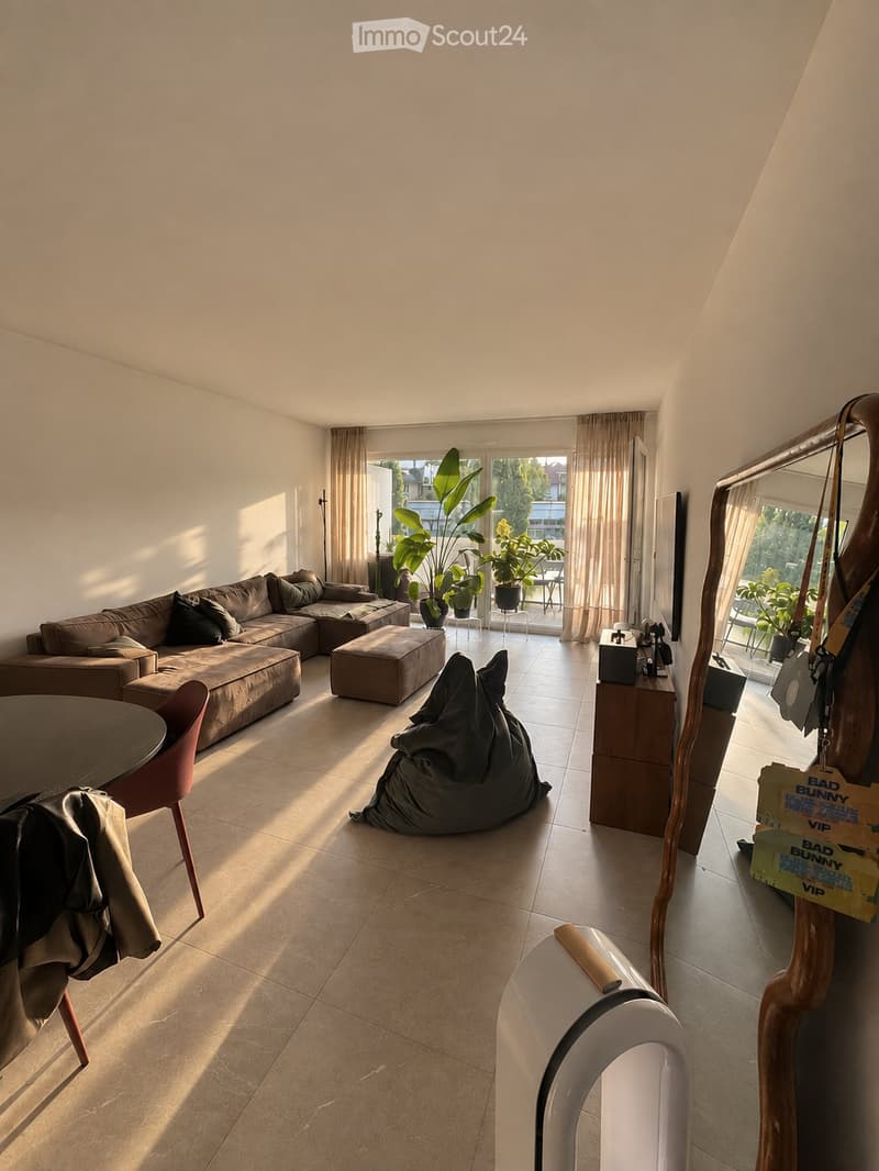 Appartement lumineux et spatieux (1)