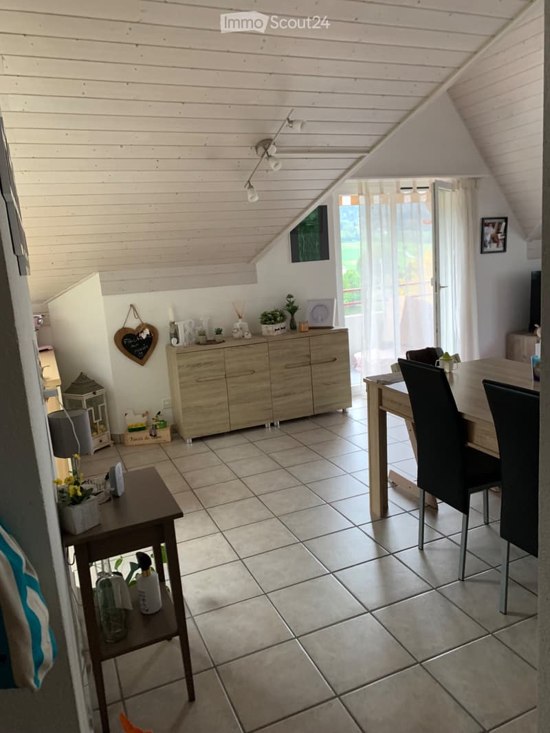Reprise de bail : appartement lumineux et mansardé (1)