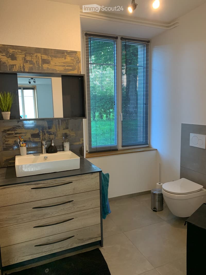 magnifique appartement rénové (3)