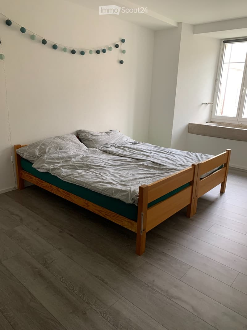 magnifique appartement rénové (4)