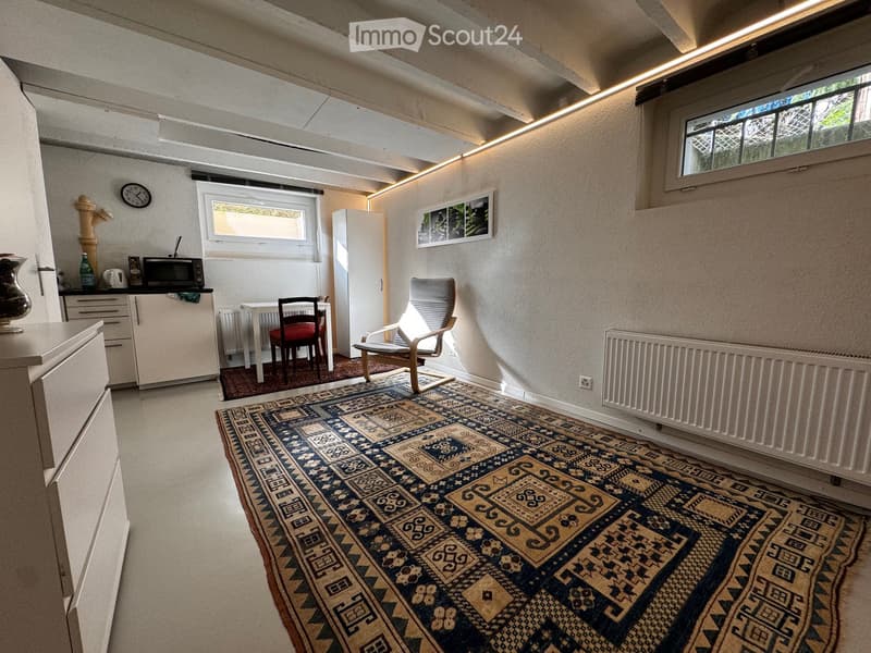 Studio d'appoint proche du CHUV (2)