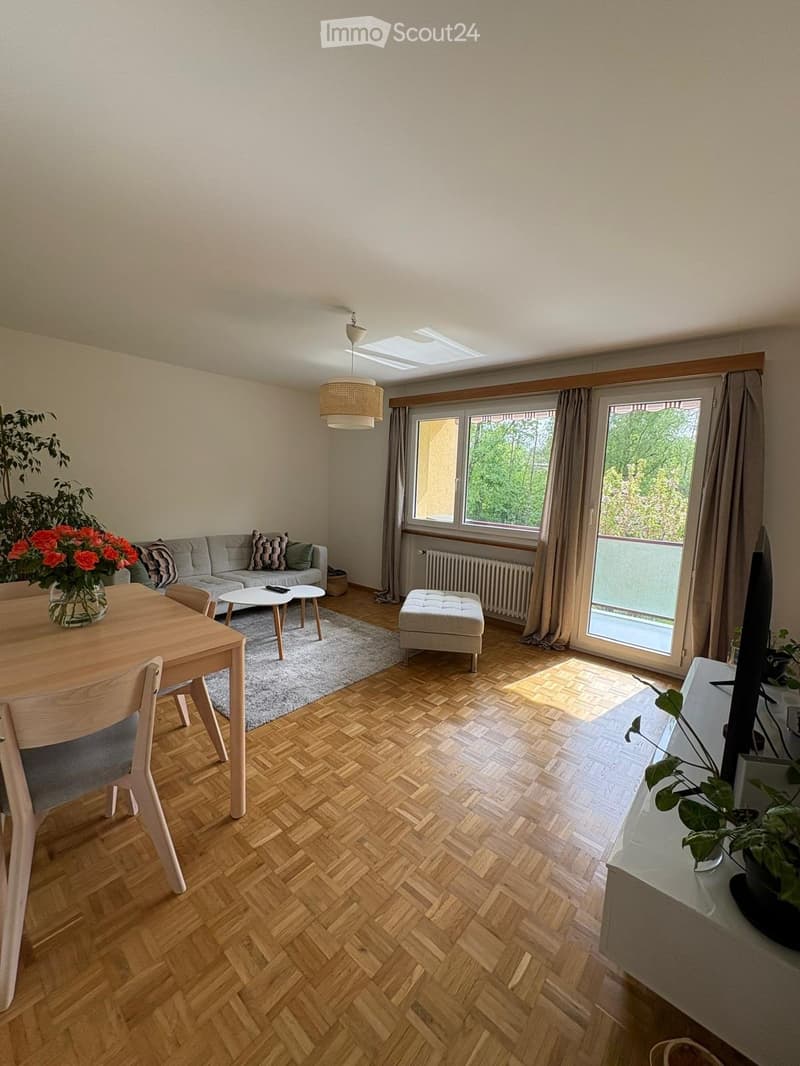 Appartement a louer (4)