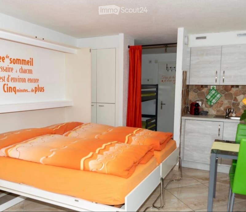 Studio meublé 30 m² avec terrasse (3)