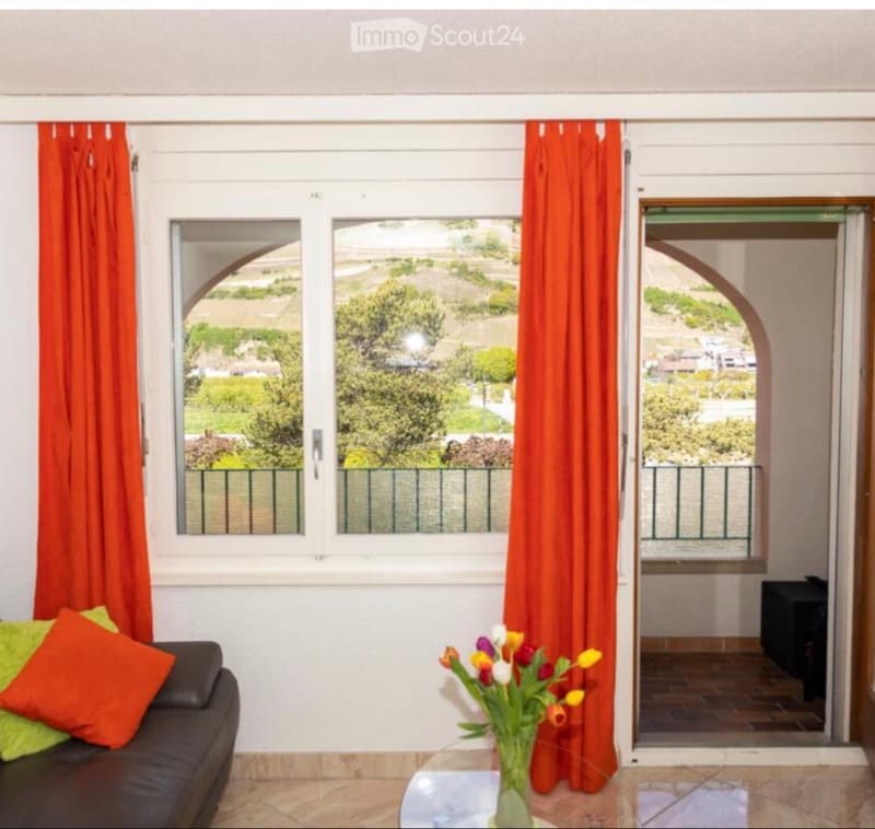 Studio meublé 30 m² avec terrasse (2)