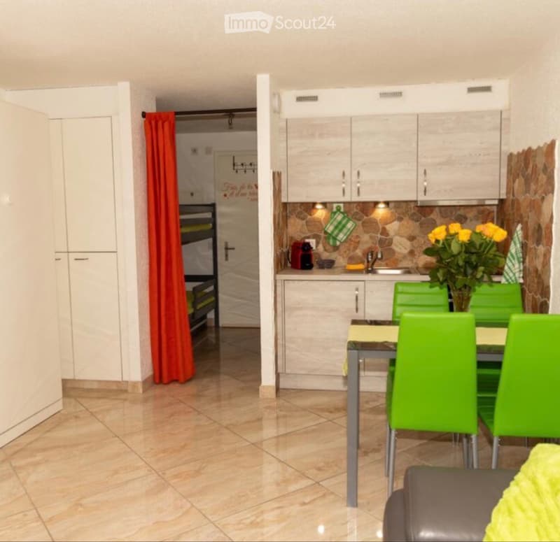 Studio meublé 30 m² avec terrasse (1)