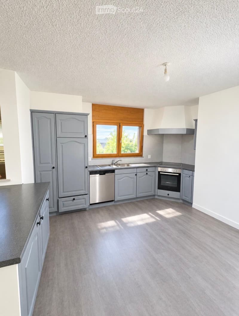 Appartement 3.5 pces Sion (3)