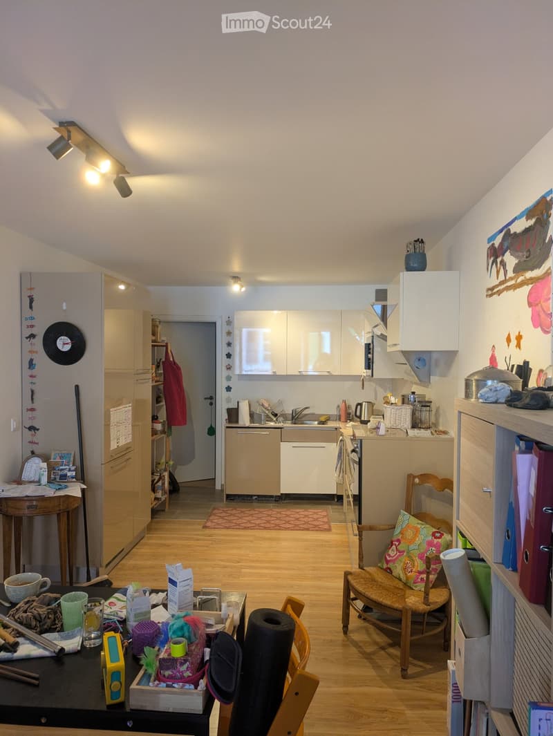 Bel appartement lumineux au coeur de Villeneuve (4)