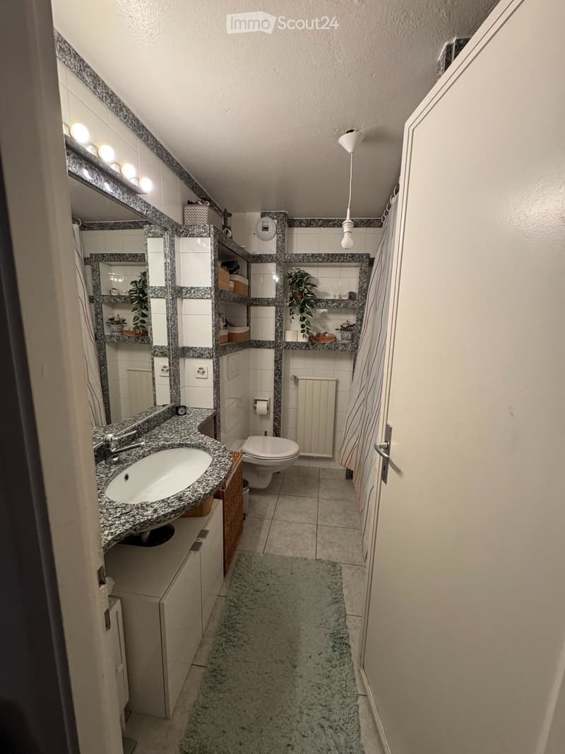 Appartement de 3 pièces à Champel (5)