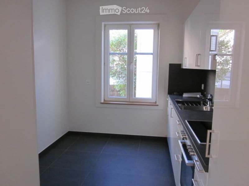A louer appartement 3 pièces totalement rénové (4)